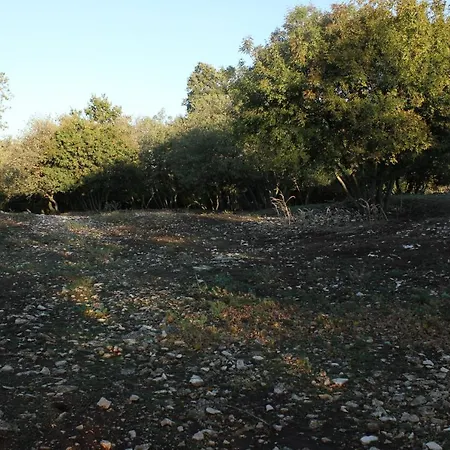 بيت للعطل Family Friendly House With A Parking Space Bibici, Istria - Sredisnja Istra - 7412 *
